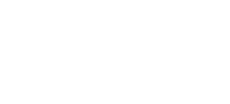 Logo ERSLVM